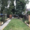 Photo 4: Garden
