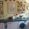 Photo 3: Colourful kitchen