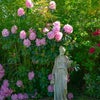 Photo 5: Garden or Patio