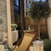 Photo 5: Garden