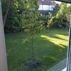 Photo 7: View from Room