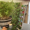 Photo 7: Patio