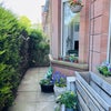 Photo 8: Private front garden 