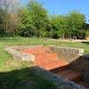 Photo 8: Shared Garden