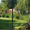 Photo 6: Garden
