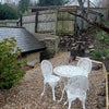 Photo 2: garden