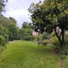 Photo 4: Communal garden