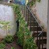 Photo 3: Private street entrance
