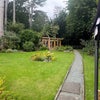 Photo 9: Garden