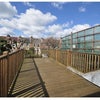 Photo 8: Roof terrace backed onto available room