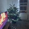 Photo 6: Living room