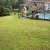Photo 7: Garden or Patio
