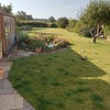 Photo 9: Garden