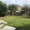 Photo 8: Shared garden