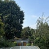 Photo 5: View from bedroom