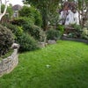 Photo 7: Garden 