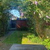 Photo 2: Garden in summer