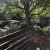 Photo 4: Balcony With Views to River CAM