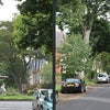 Photo 7: Park Avenue is a Leafy oasis 2 minutes from Princes Ave's shops, bars and busses.