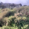 Photo 5: View from window