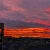 Photo 8: Sunset