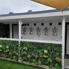Photo 3: Garden from lounge view 