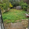 Photo 3: Garden