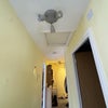 Photo 9: More storage space in the attic 