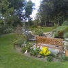 Photo 6: Rear Garden to use