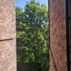 Photo 4: View from room's window