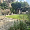 Photo 9: Garden
