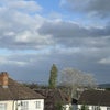 Photo 2: Window view 