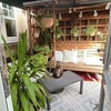 Photo 7: Garden