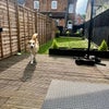 Photo 6: Garden and Charlie