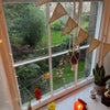 Photo 5: Shared garden