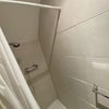 Photo 8: Shower Room