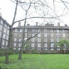 Photo 5: Communal Garden/Backview