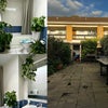 Photo 7: Main Bathroom + Garden