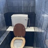 Photo 6: Toilet