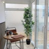 Photo 9: Dining sun room