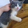 Photograph of Negin 