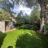 Photo 9: Garden