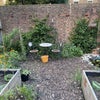 Photo 9: Private garden