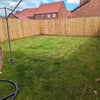 Photo 6: Garden