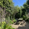 Photo 18: Garden