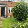 Photo 3: Front garden 