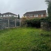 Photo 8: Back garden