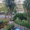 Photo 4: A view from the bedroom