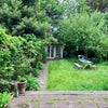 Photo 7: Garden or Patio