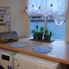 Photo 5: SHARED Dining kitchen with washing machine - tumble dryer